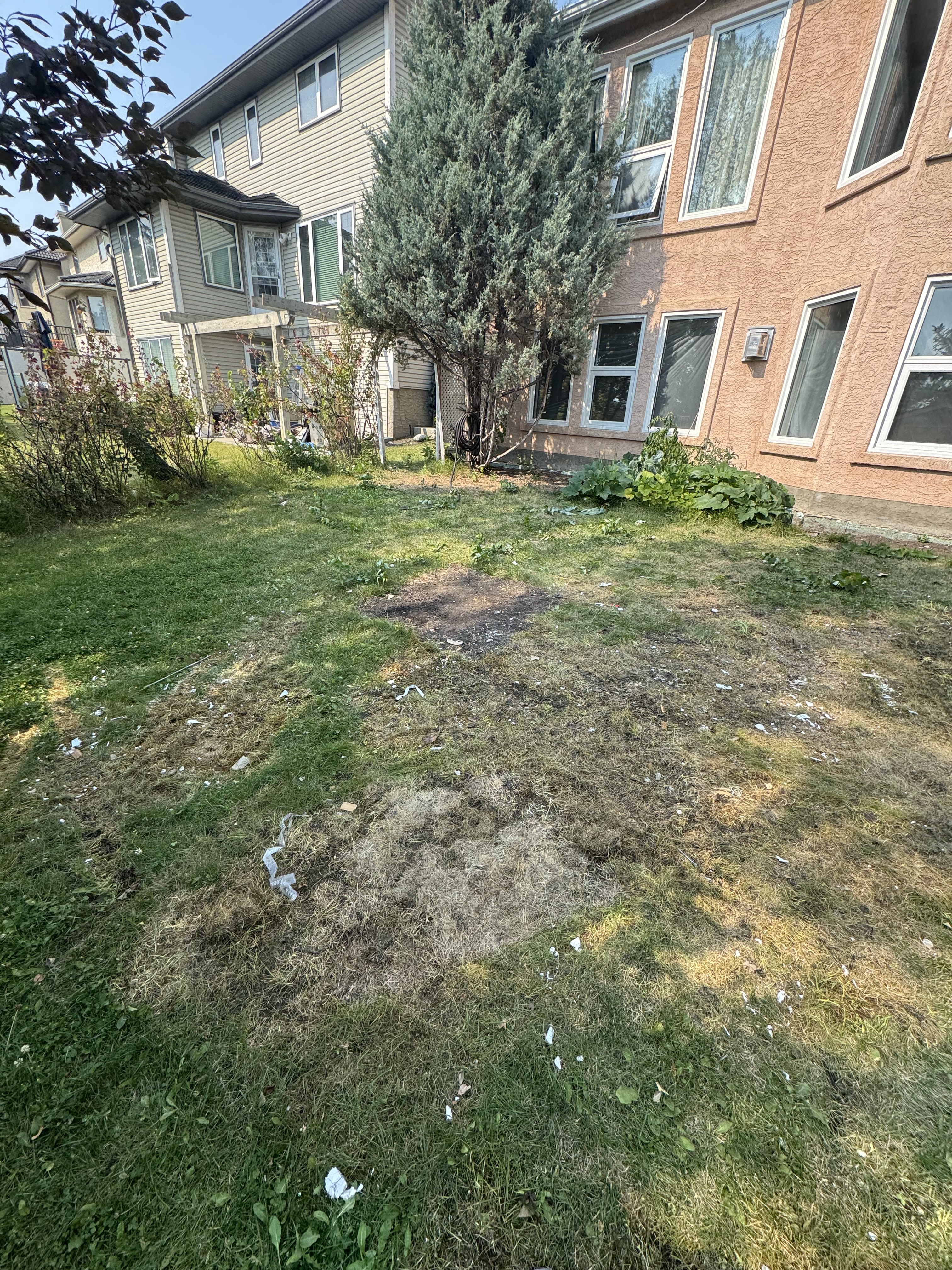After — Debris / Reno Cleanout — Hawkwood NW