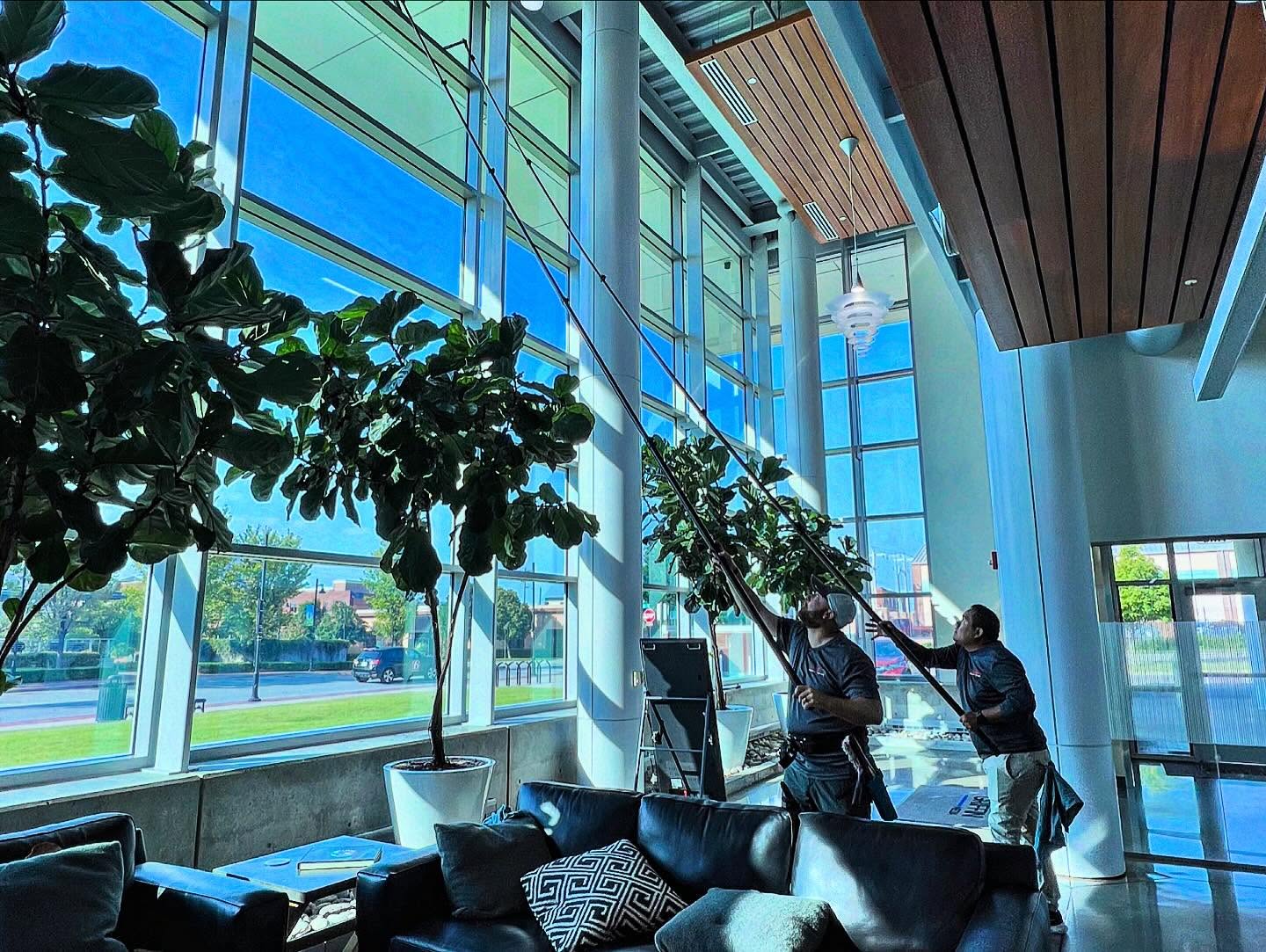 Two technicians cleaning high lobby windows with water-fed poles