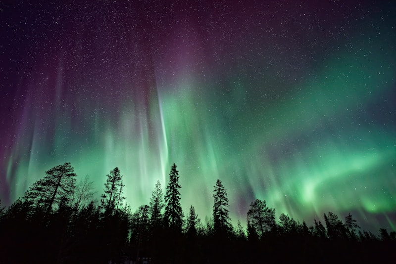 Auroras Boreales. Categoría classic - 4 de marzo de 2027 miniatura 2
