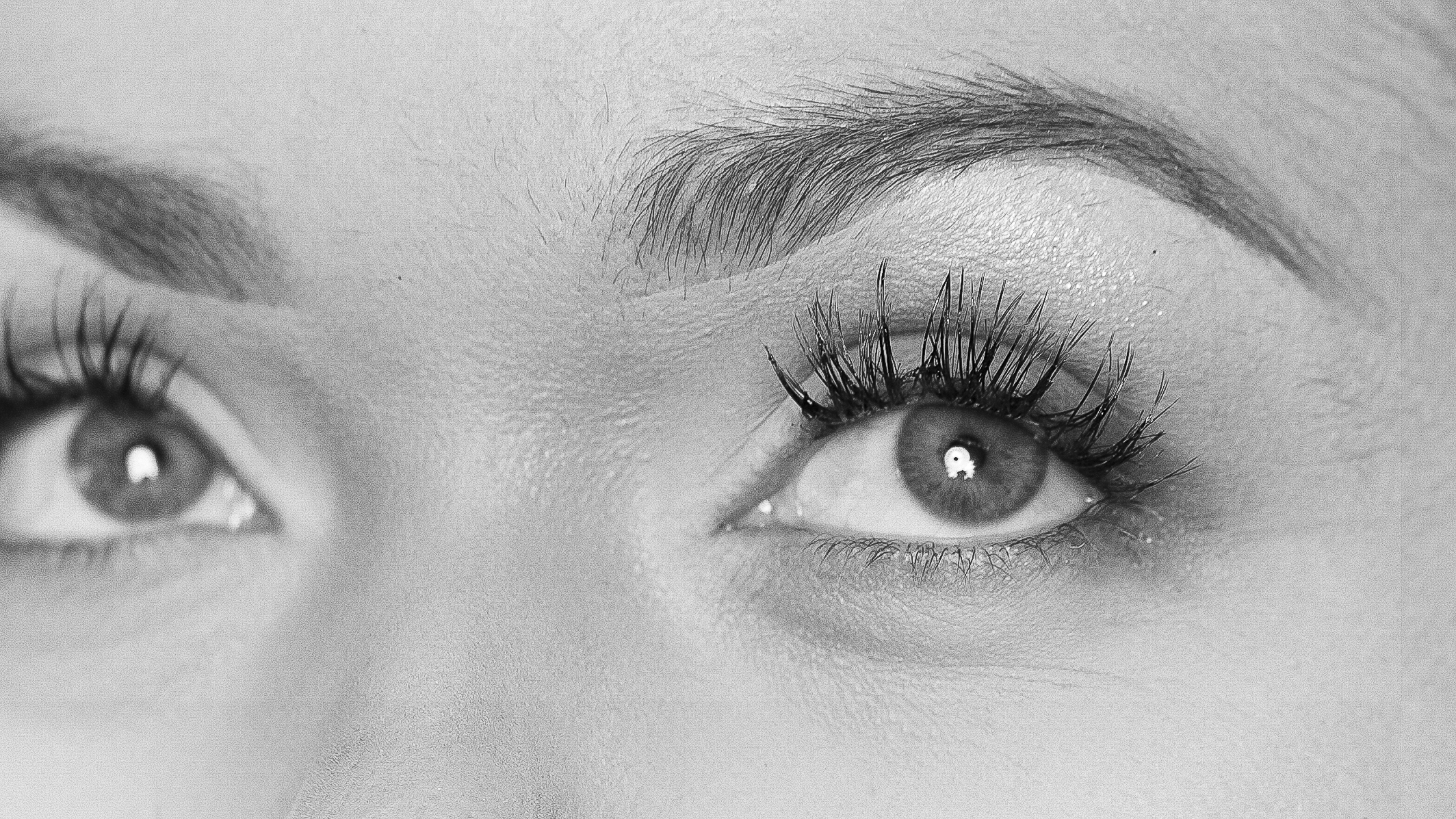 Fine-art macro photography for mascara and lash extensions showing extreme detail by Relative Vision Studio in Pomona, CA