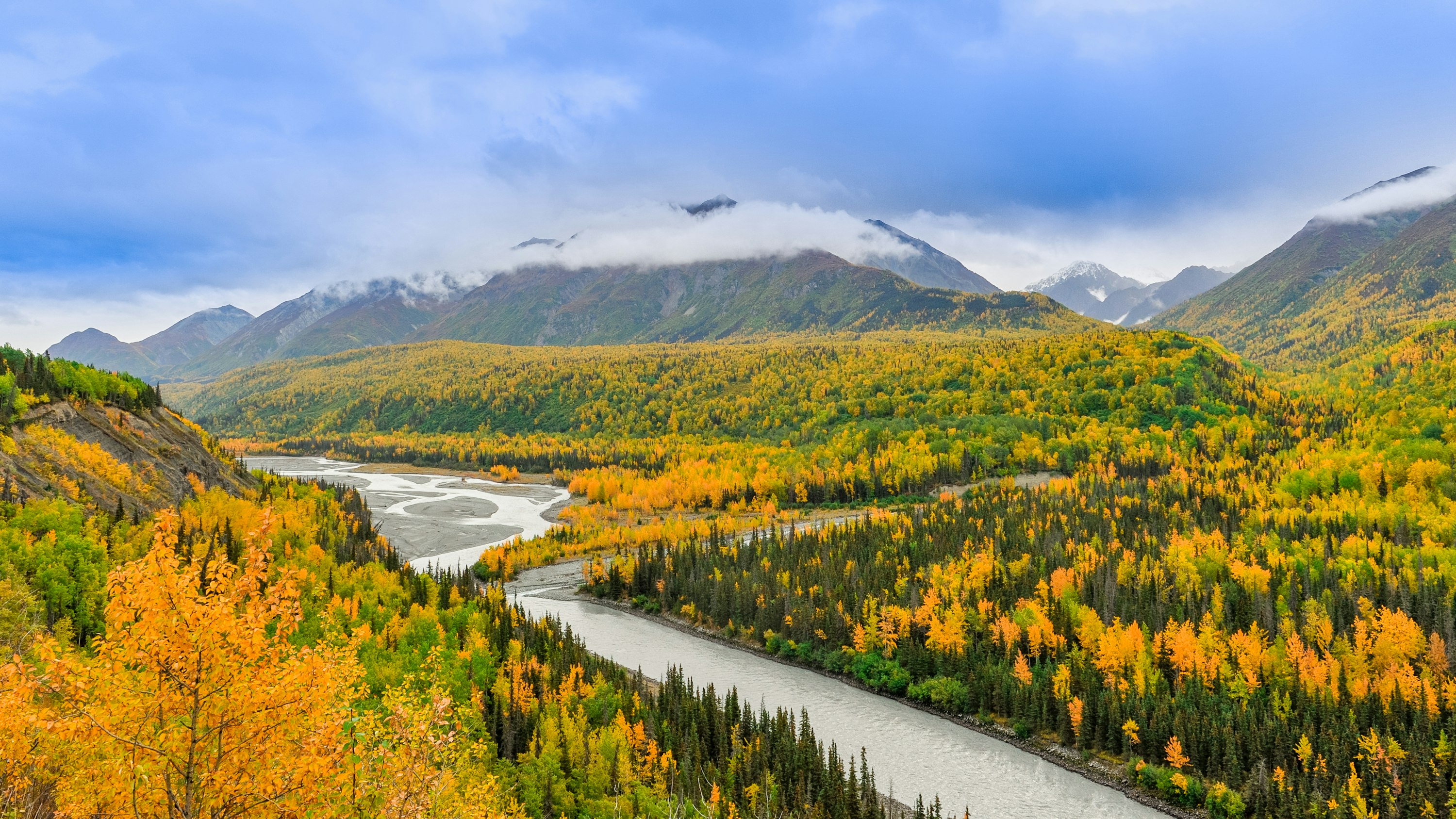 A river winding beside evergreen forest under a bright sky in Alaska — pristine wilderness
