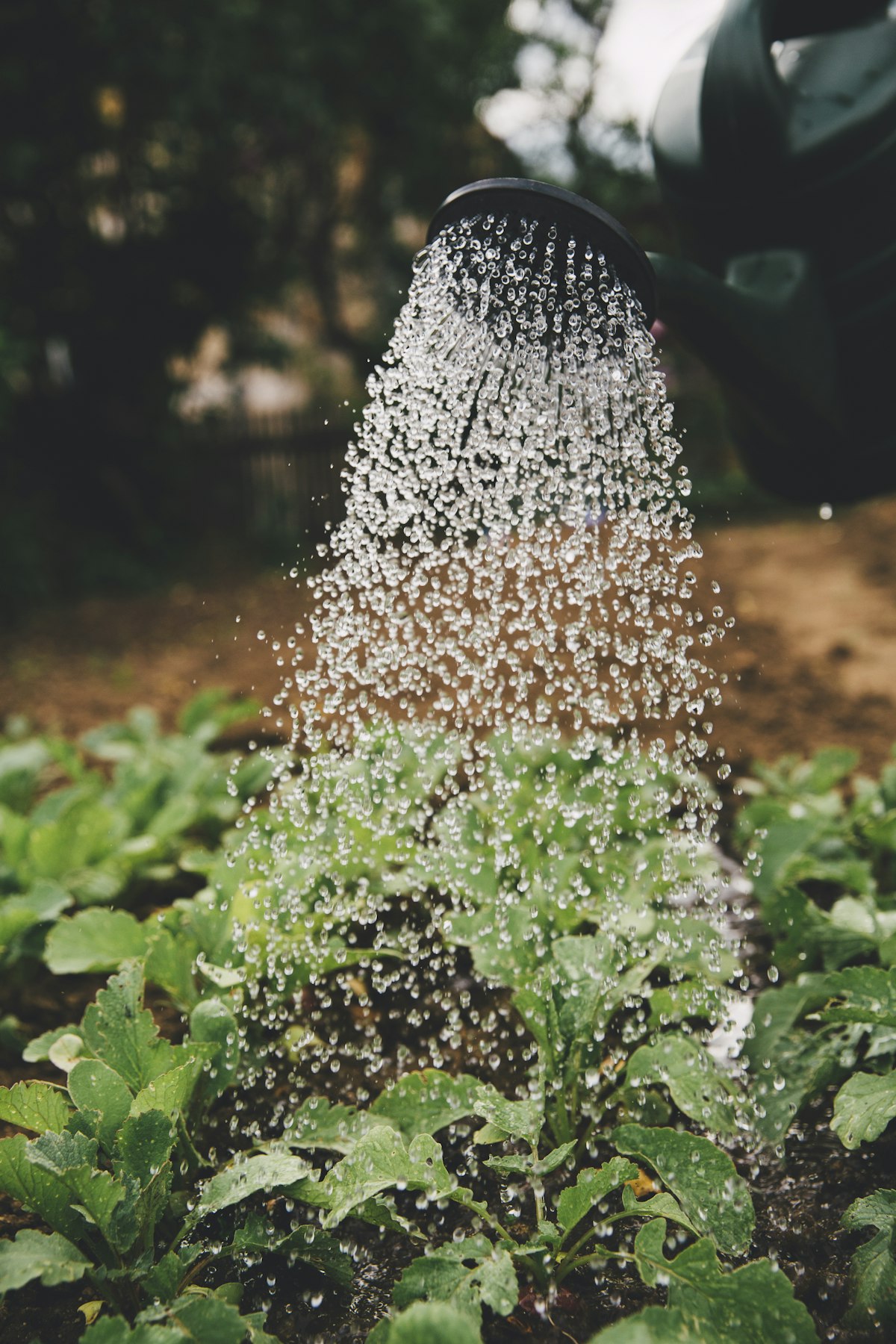 Watering a lawn efficiently with a sprinkler system