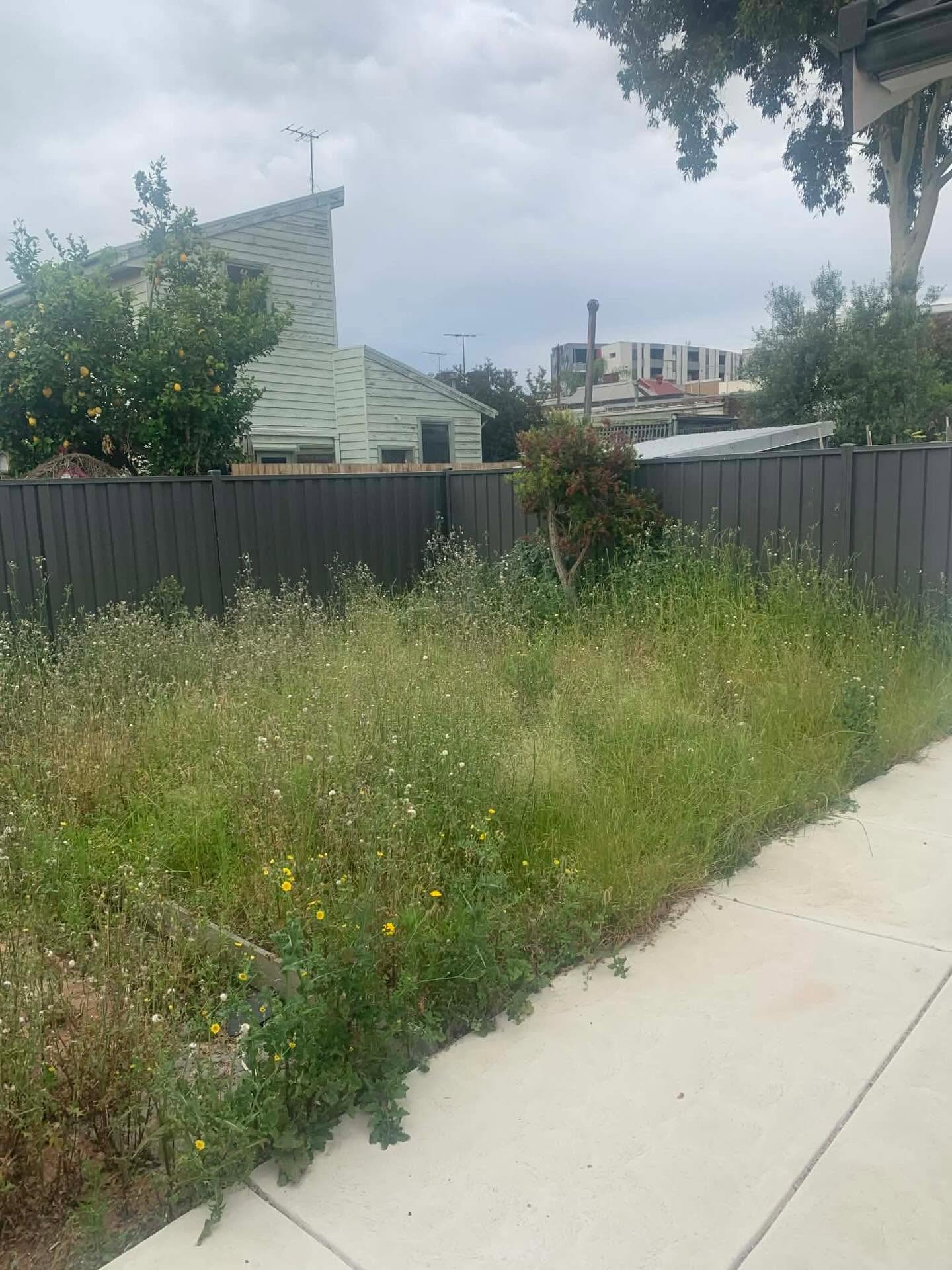 Before courtyard garden clean up in Melbourne's Northern Suburbs
