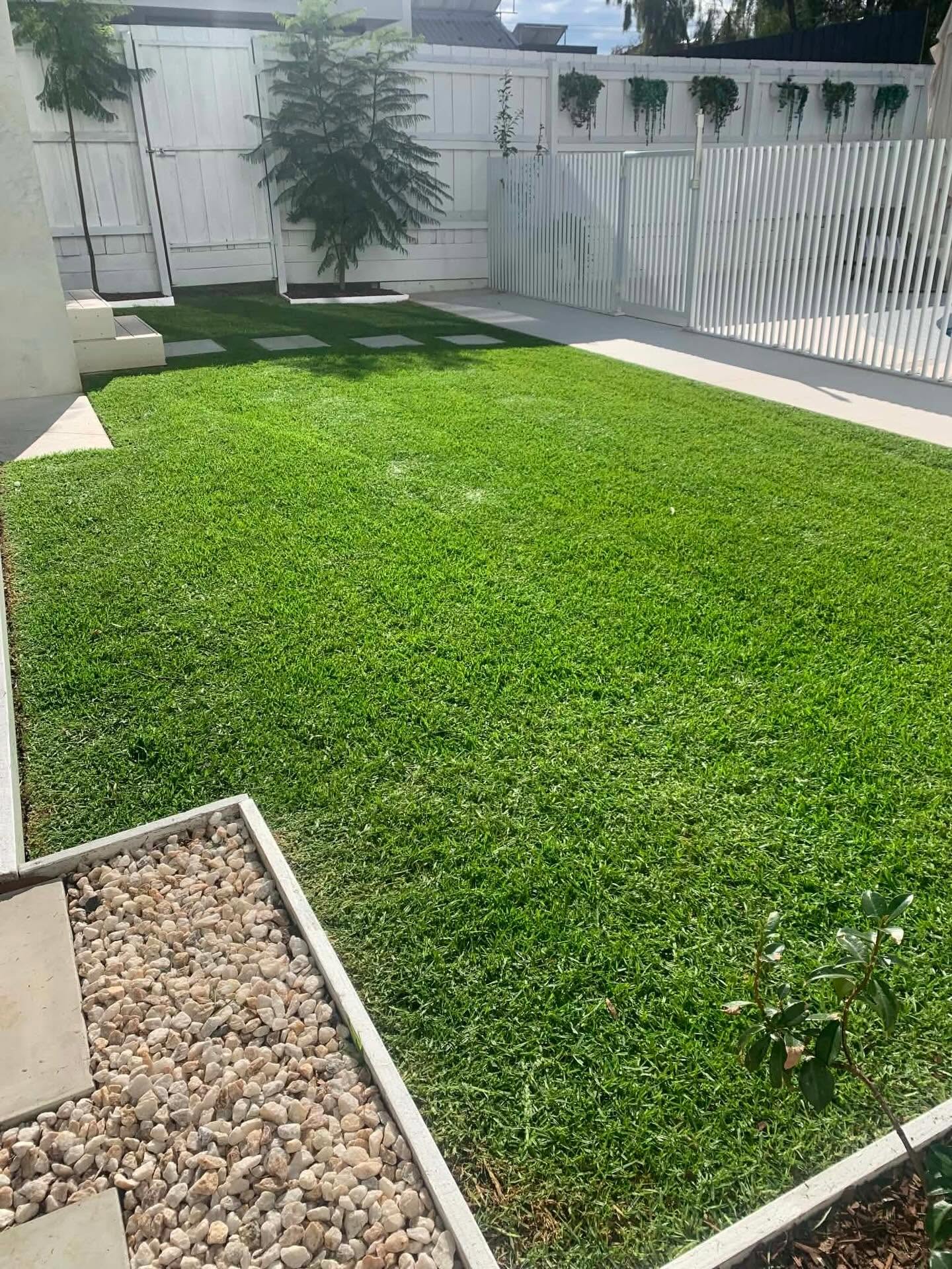 Recovered lush green Kikuyu lawn by Ratten & Rowe