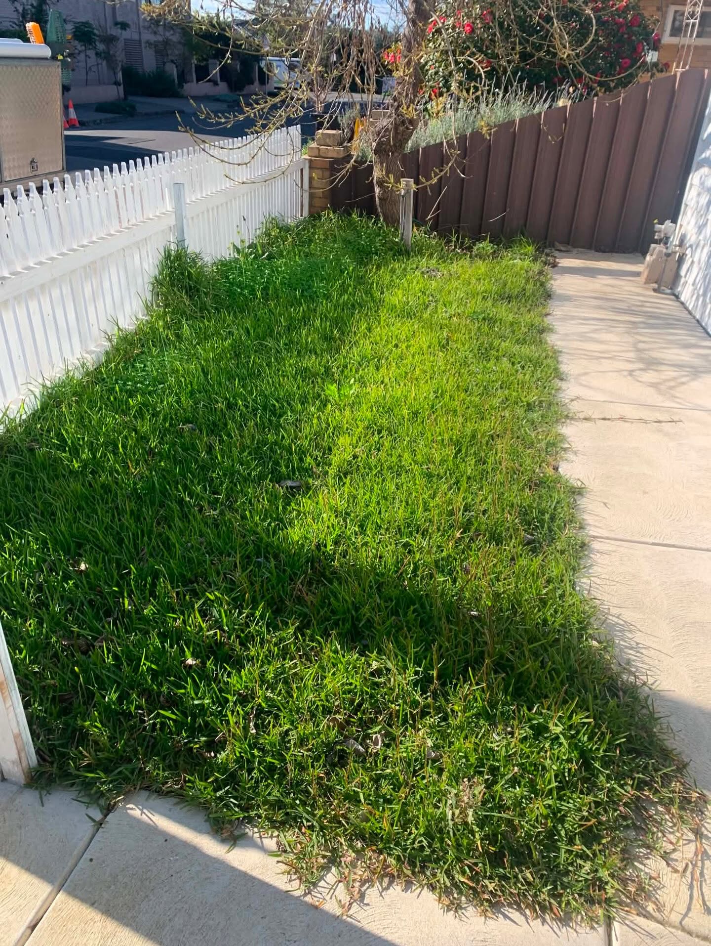 Before lawn mowing and edge trimming in Melbourne's Northern Suburbs