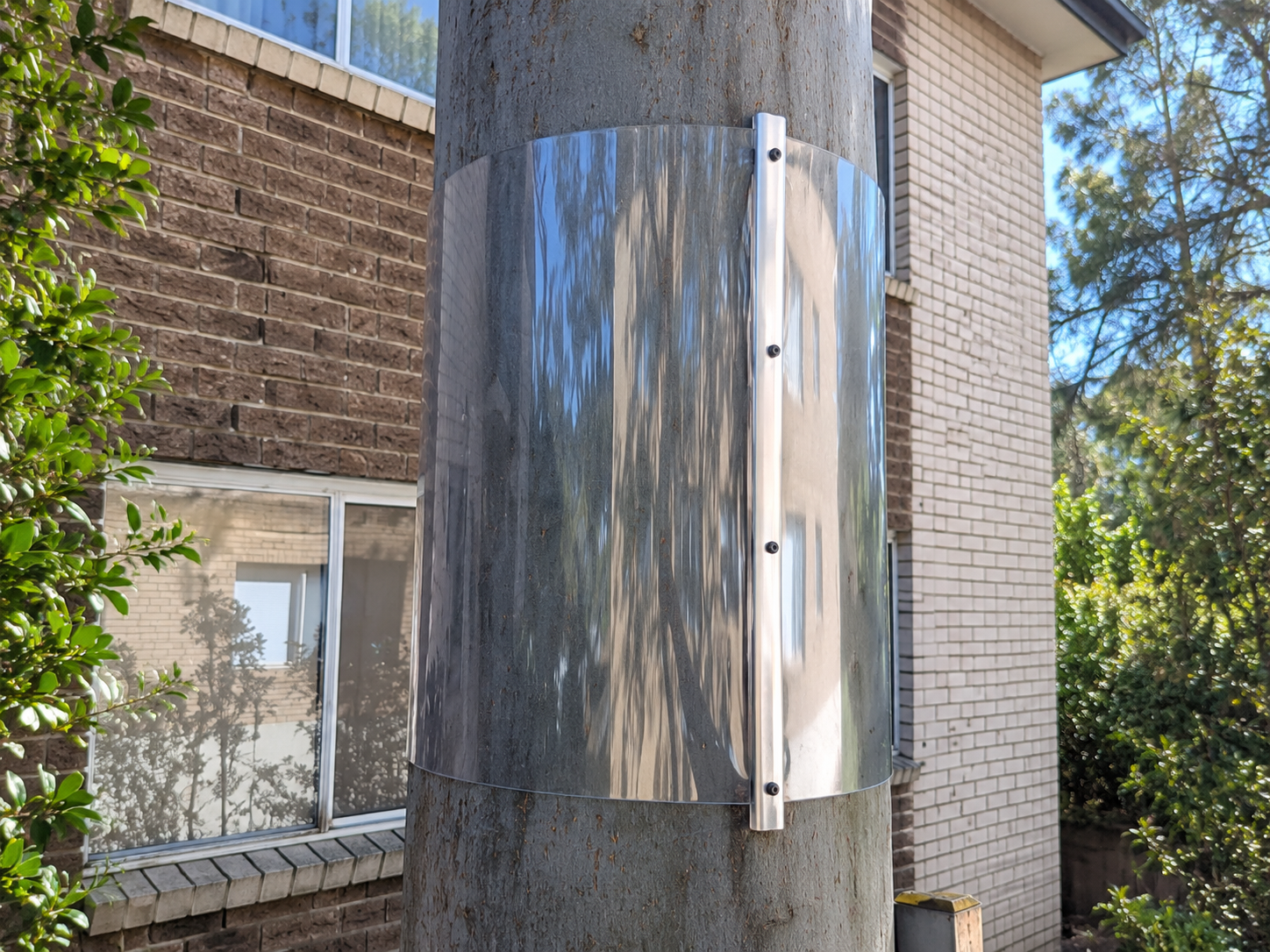 Polycarbonate tree guard installed by The Possum Man around a tree trunk beside a residential building.