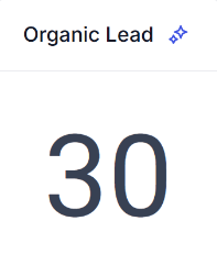 Dashboard showing 30 organic leads for a jiu-jitsu gym
