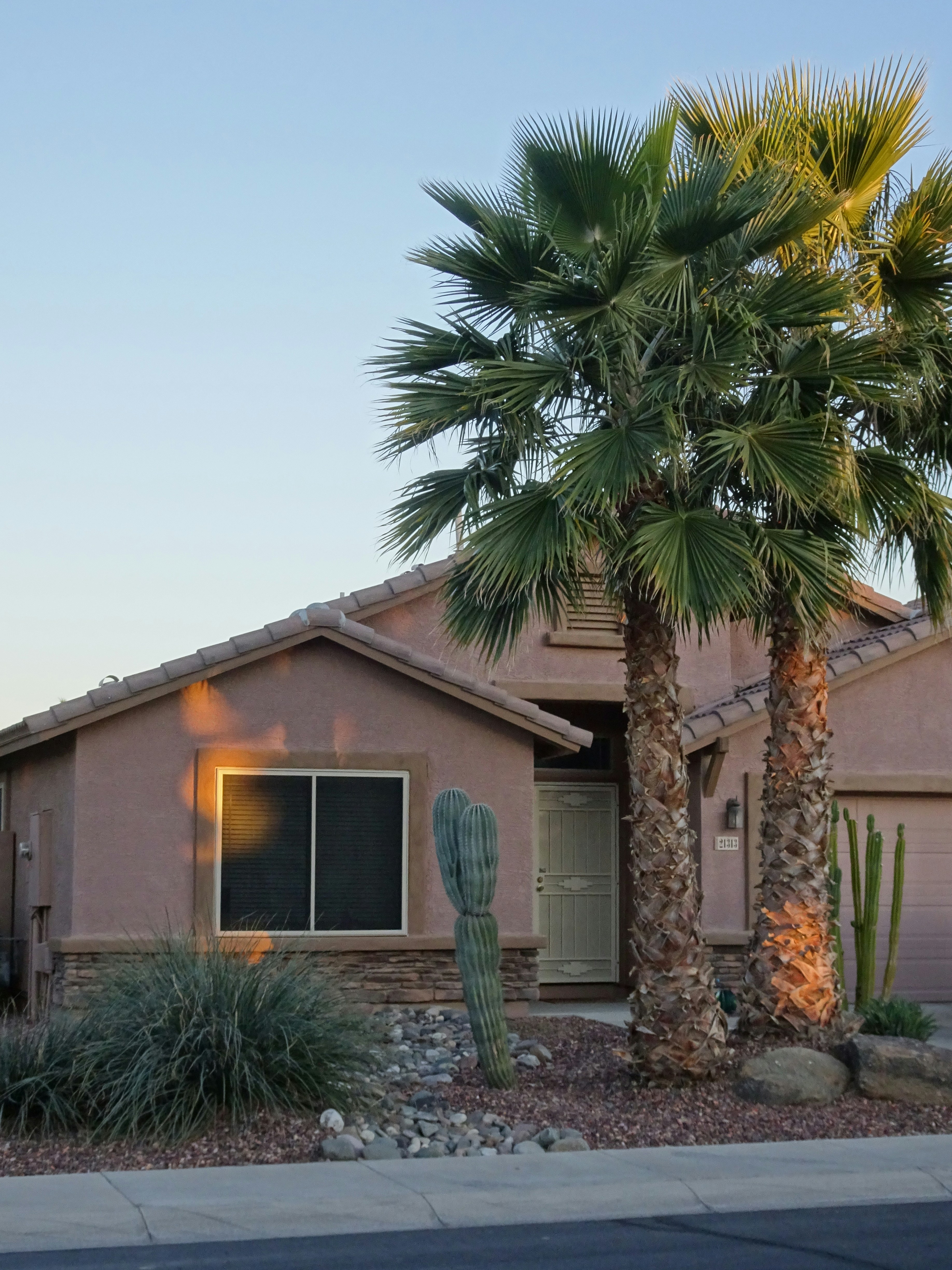 Desert-landscaped Surprise, AZ home with palm trees and saguaro cactus at dusk
