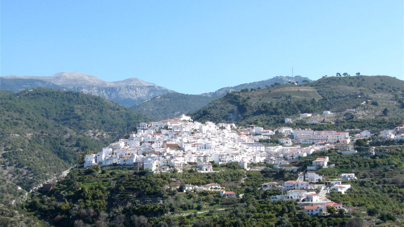 Canillas de Albaïda