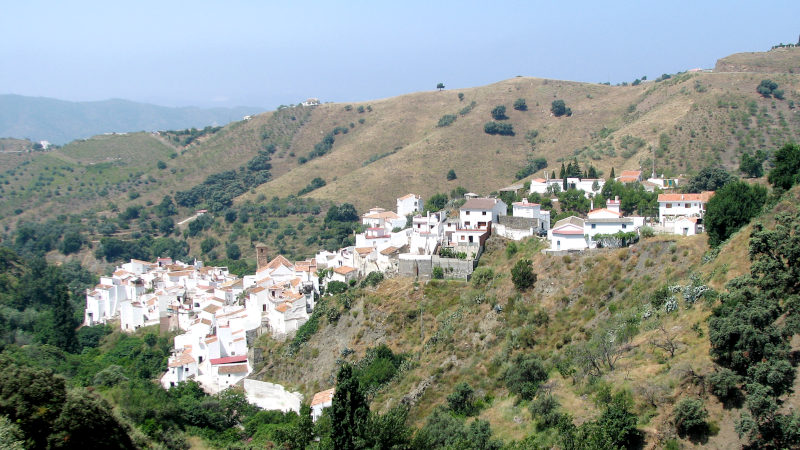 Salares
