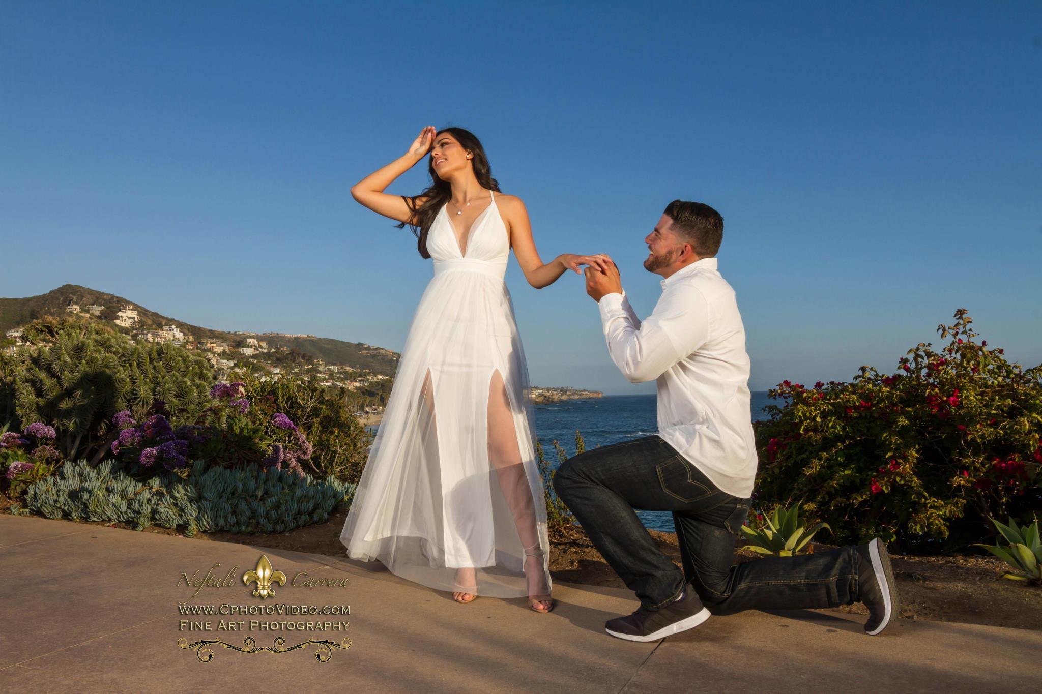Scenic Coastal Cliff Proposal & Engagement