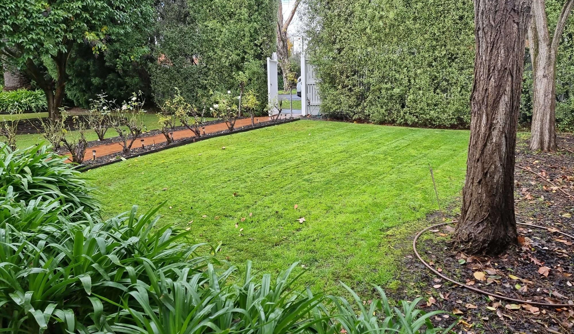 Handy Dandy Services lawn care and maintenance in Melbourne