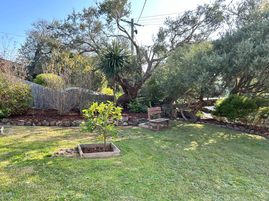 Handy Dandy Services commercial mowing and property work