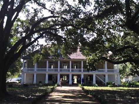 Plantation & Swamp Combo Tours