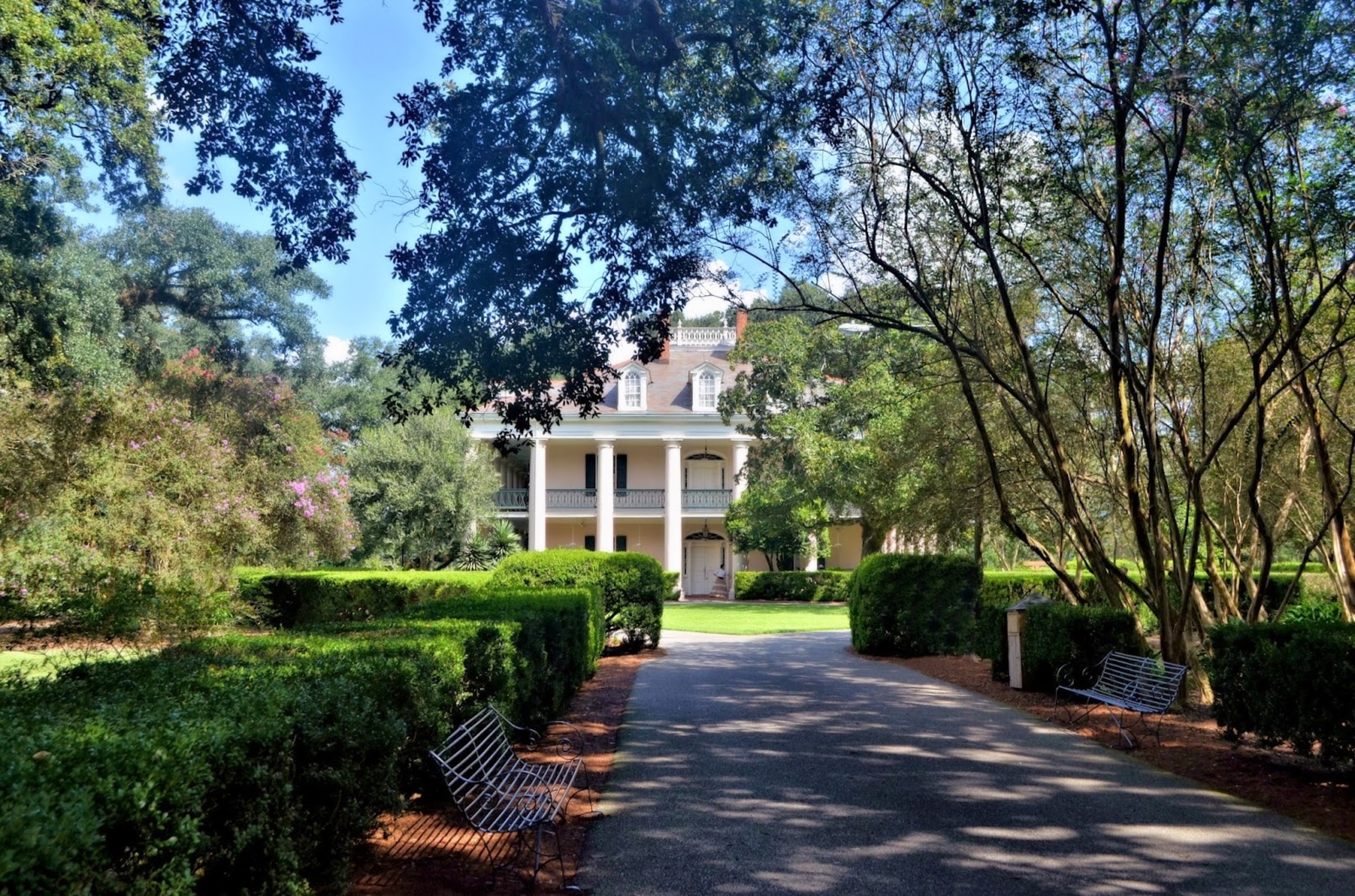 Sunlit white-columned plantation mansion framed by manicured garden pathways and lush tree canopy