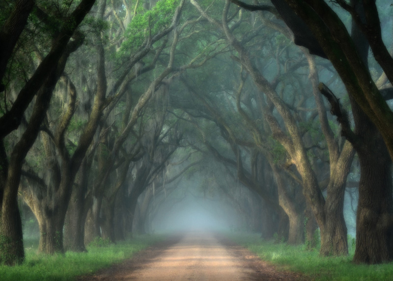 Plantation Combo Tours