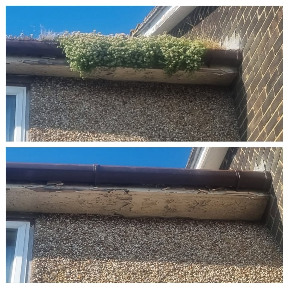 Before and after of a gutter with weeds and flowering plants removed down to bare gutter