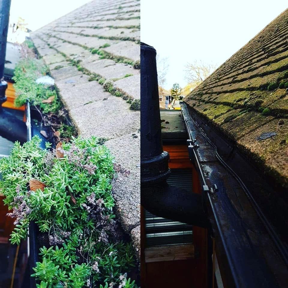 Before and after collage of gutter vacuuming removing heavy moss and vegetation