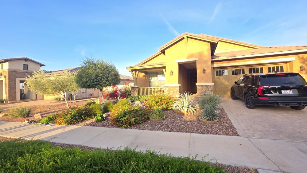 Vibrant front yard landscaping featuring colorful flowering desert plants
