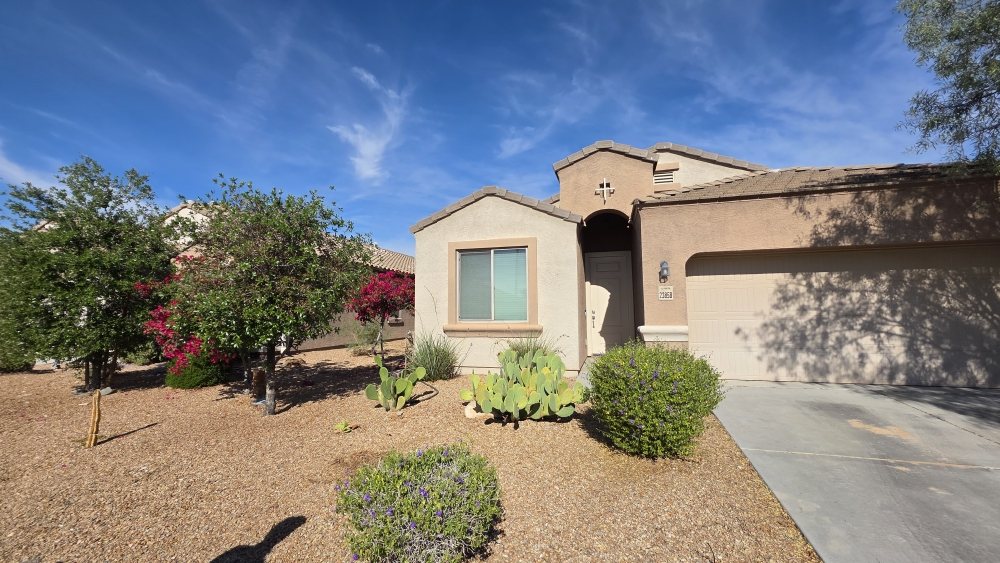 Front yard of a stucco home featuring prickly pear cactus, bougainvillea, and mature desert trees
