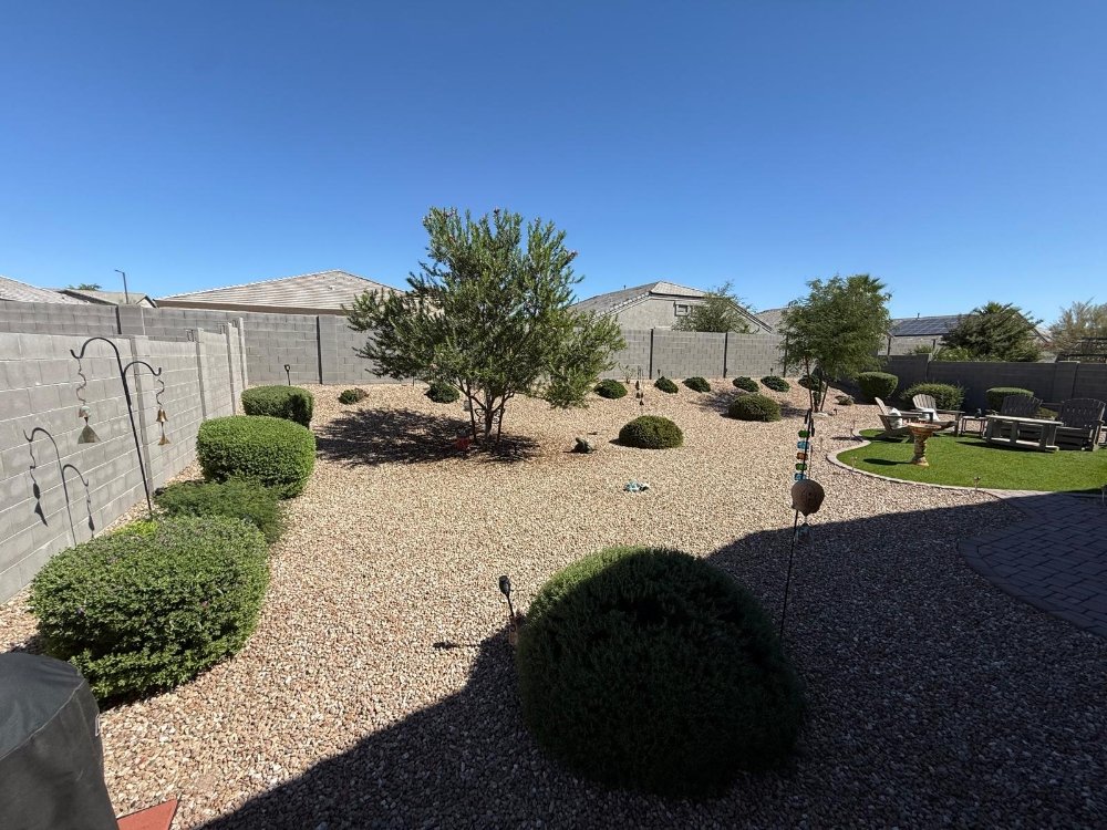 After: Expansive backyard renovation with artificial turf, gravel, and mature desert trees