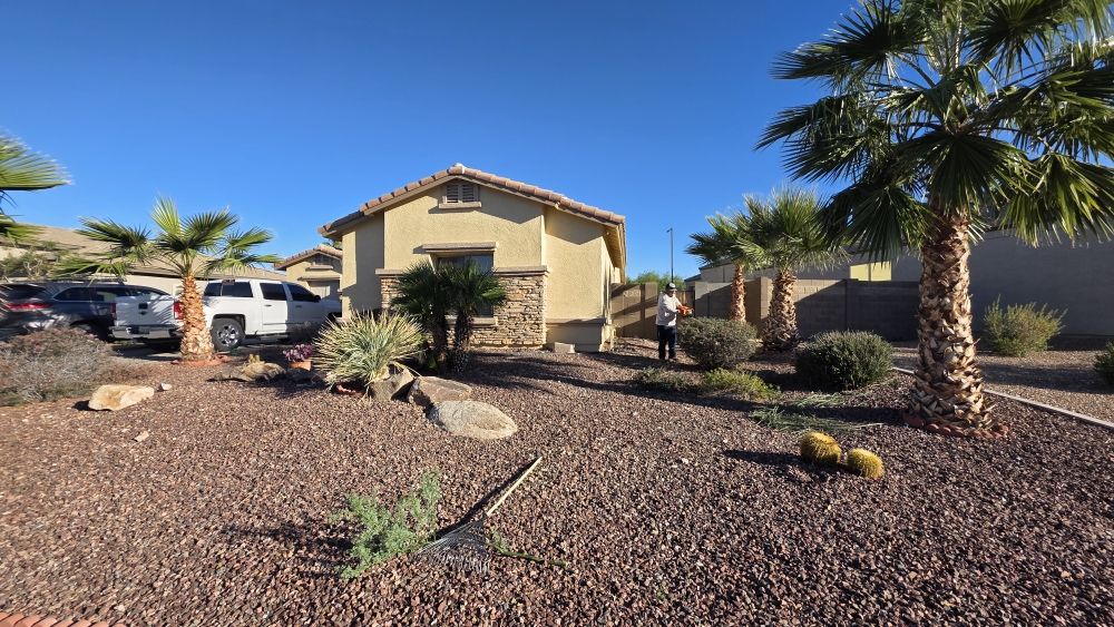 Desert landscaping yard with palm trees and a worker