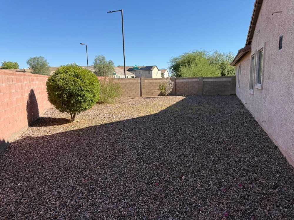 Clean gravel backyard with a single manicured desert tree
