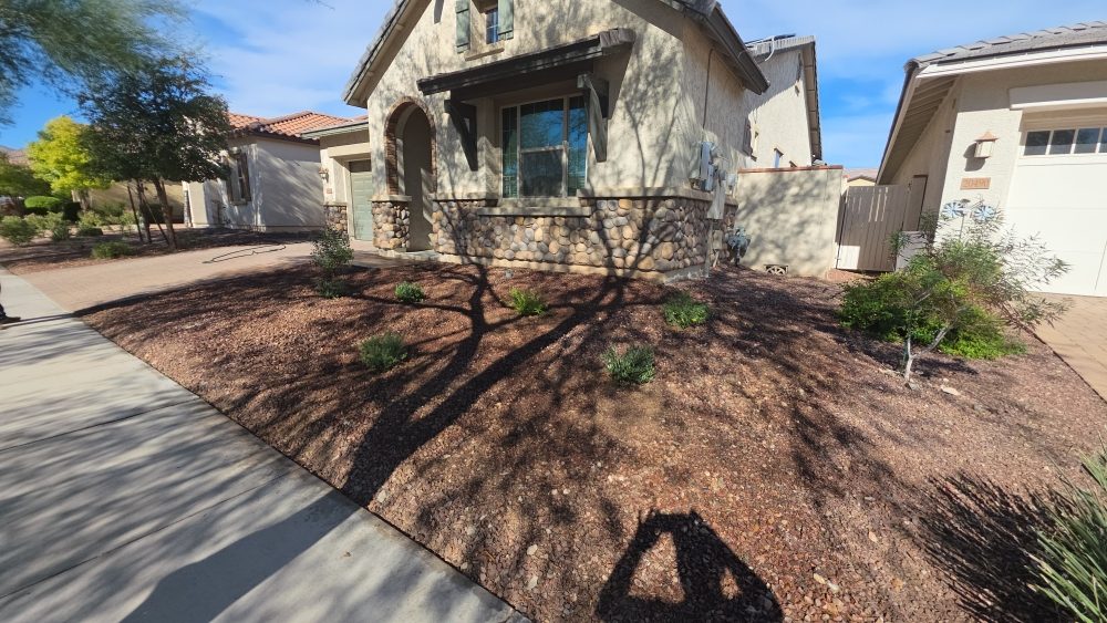 Front yard desert landscaping with fresh gravel and drought-tolerant plants next to a home