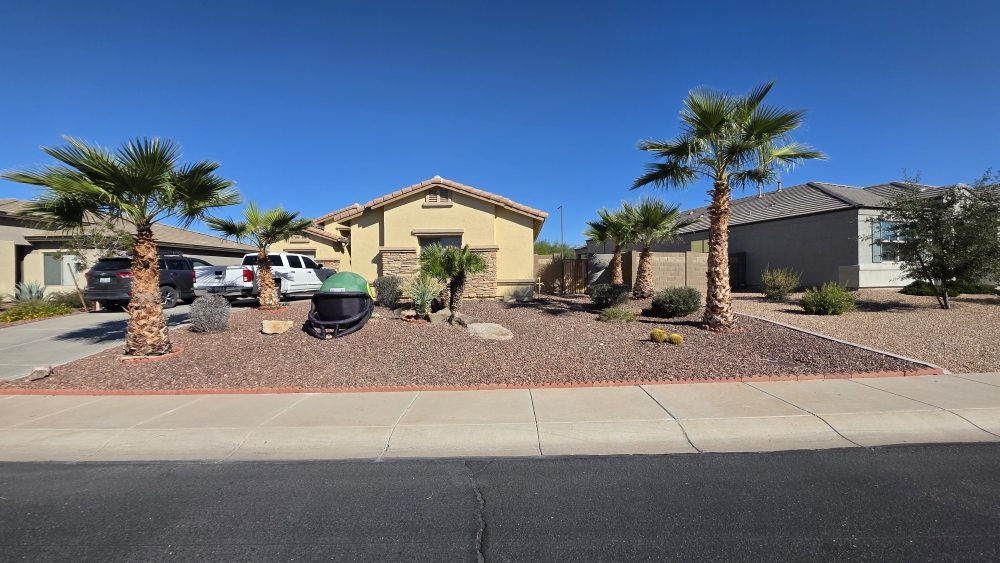Beautifully maintained front yard with decorative rock and palm trees