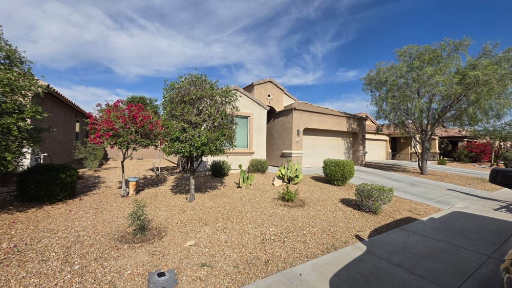 Front yard landscaping with bougainvillea and native desert plants