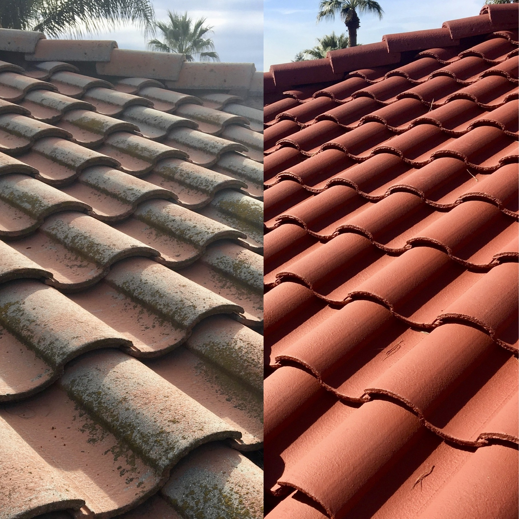 Barrel Tile Roof Wash to Rich Terracotta Restoration