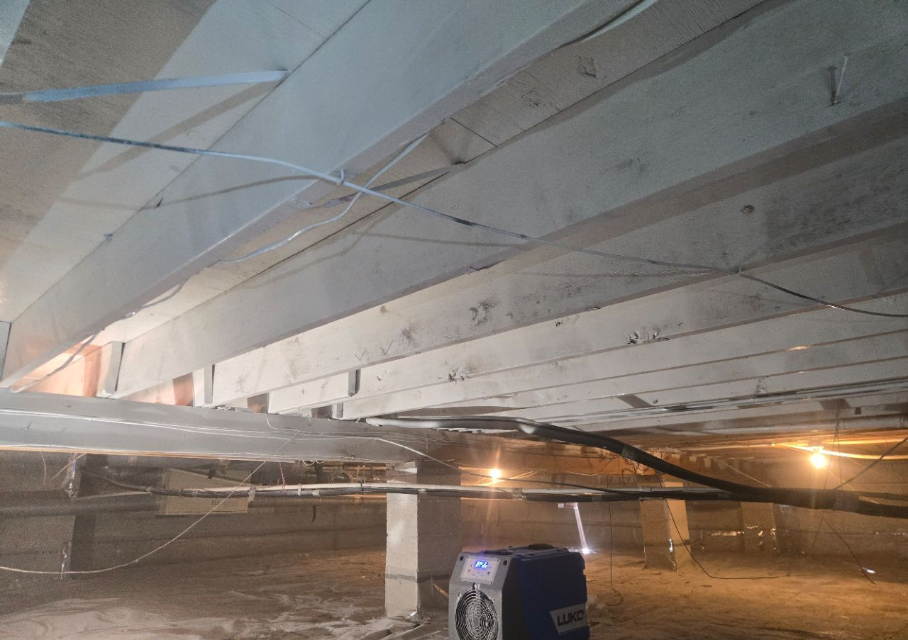 JLX Environmental crawlspace mold treatment setup showing structural floor joists and professional equipment