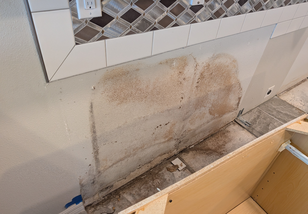 Affected kitchen wall area showing moisture and mold conditions prior to lower wall opening