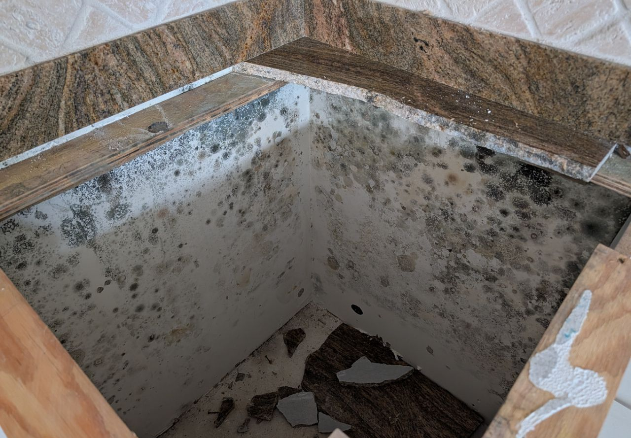 Close-up looking down into opened cabinet and wall cavity with extensive visible mold growth prior to remediation