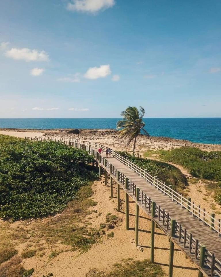 Jobos Boardwalk