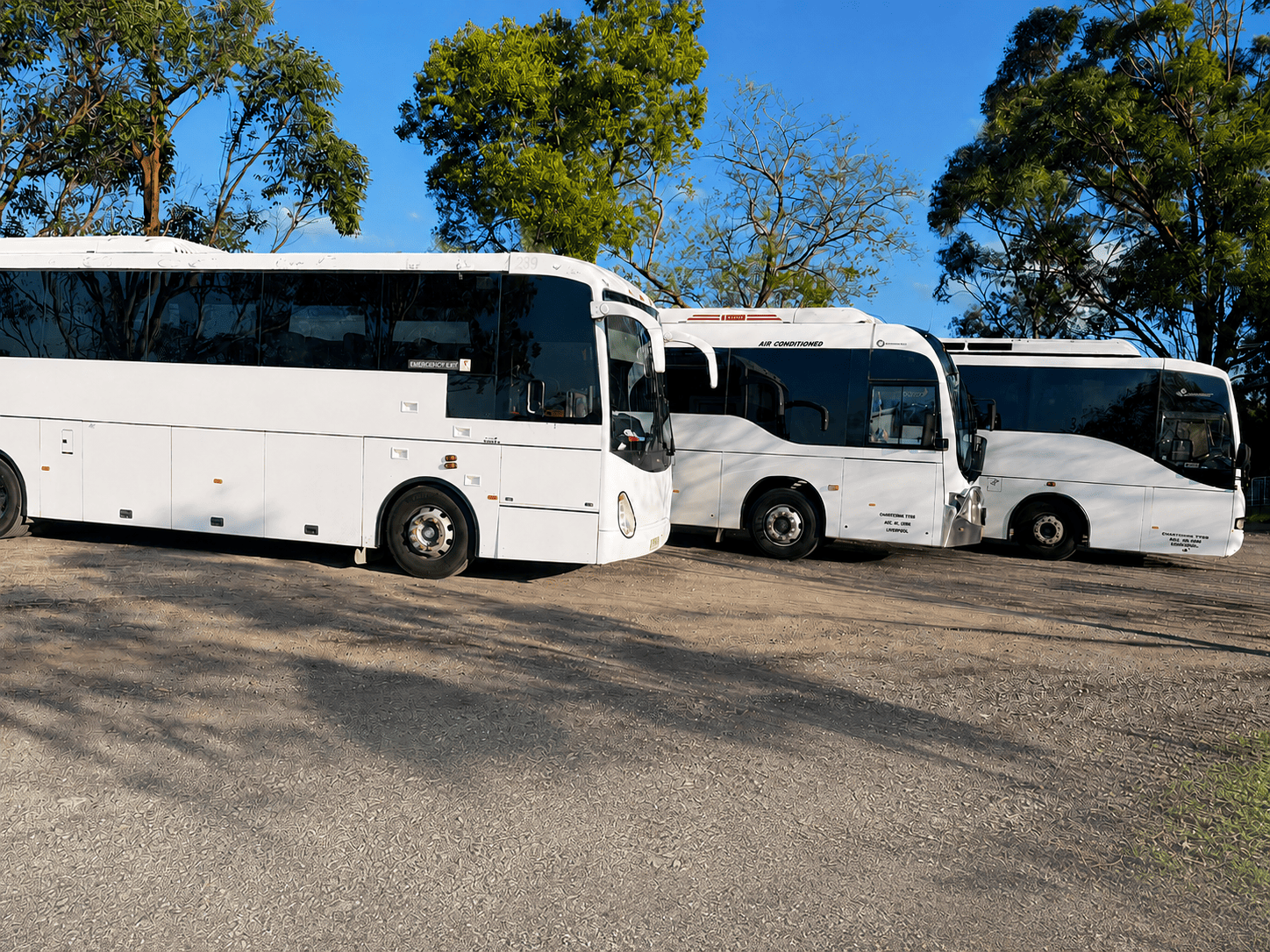 TTSS Coach Tours modern luxury coach fleet lined up for Sydney charter hire