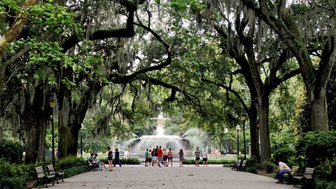 Savannah Georgia historic district oak lined street senior slow travel — photo 1