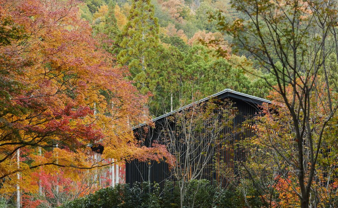 Aman Kyoto moss garden pavilion and forest setting Takagamine Japan — photo 2