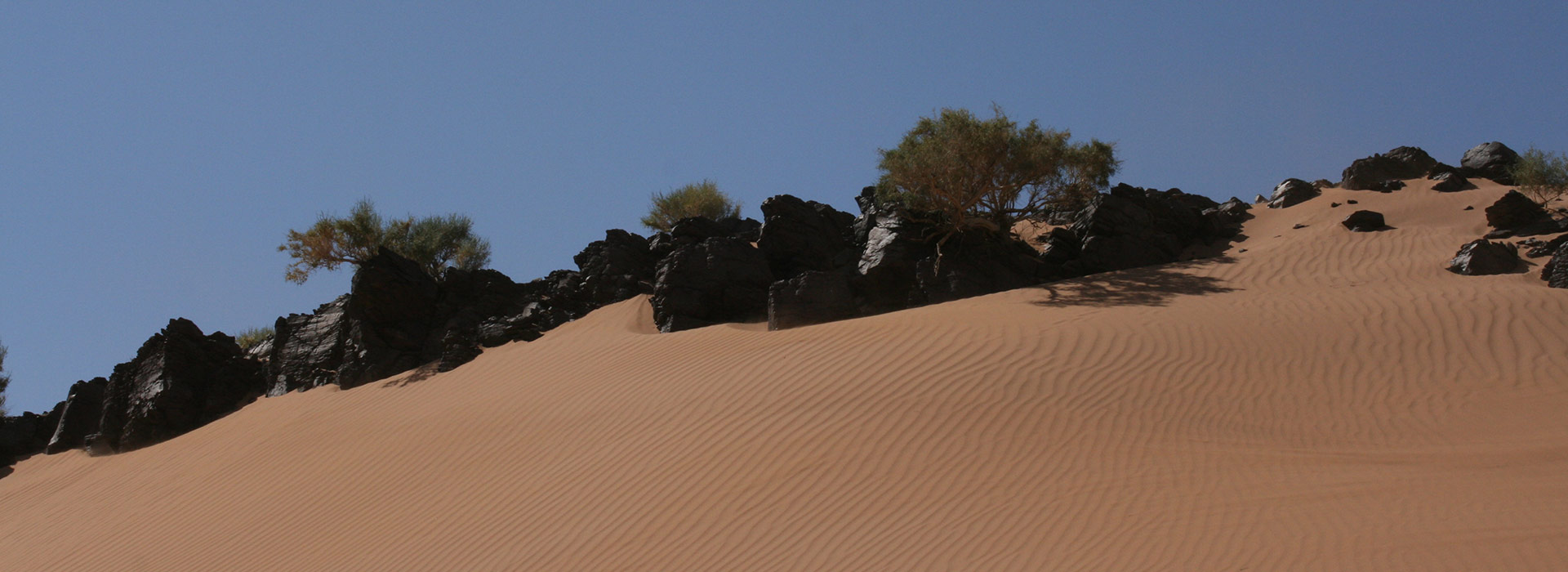 Orkhon Valley UNESCO Migration