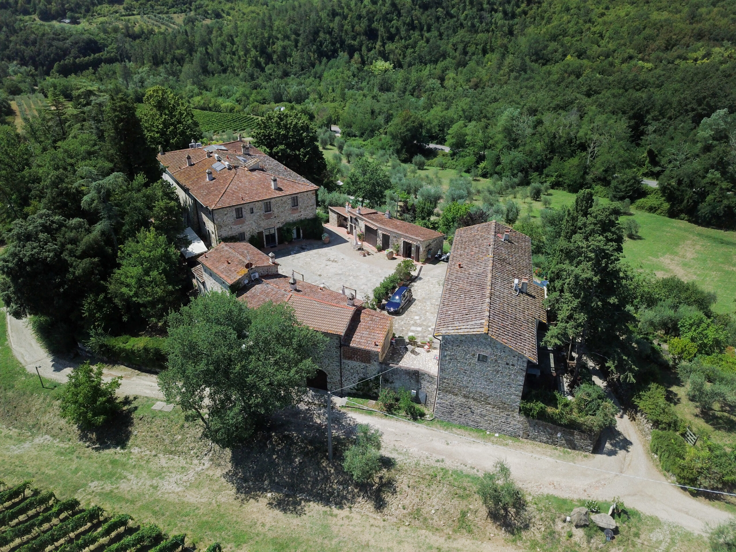 Chianti Hills, near Florence