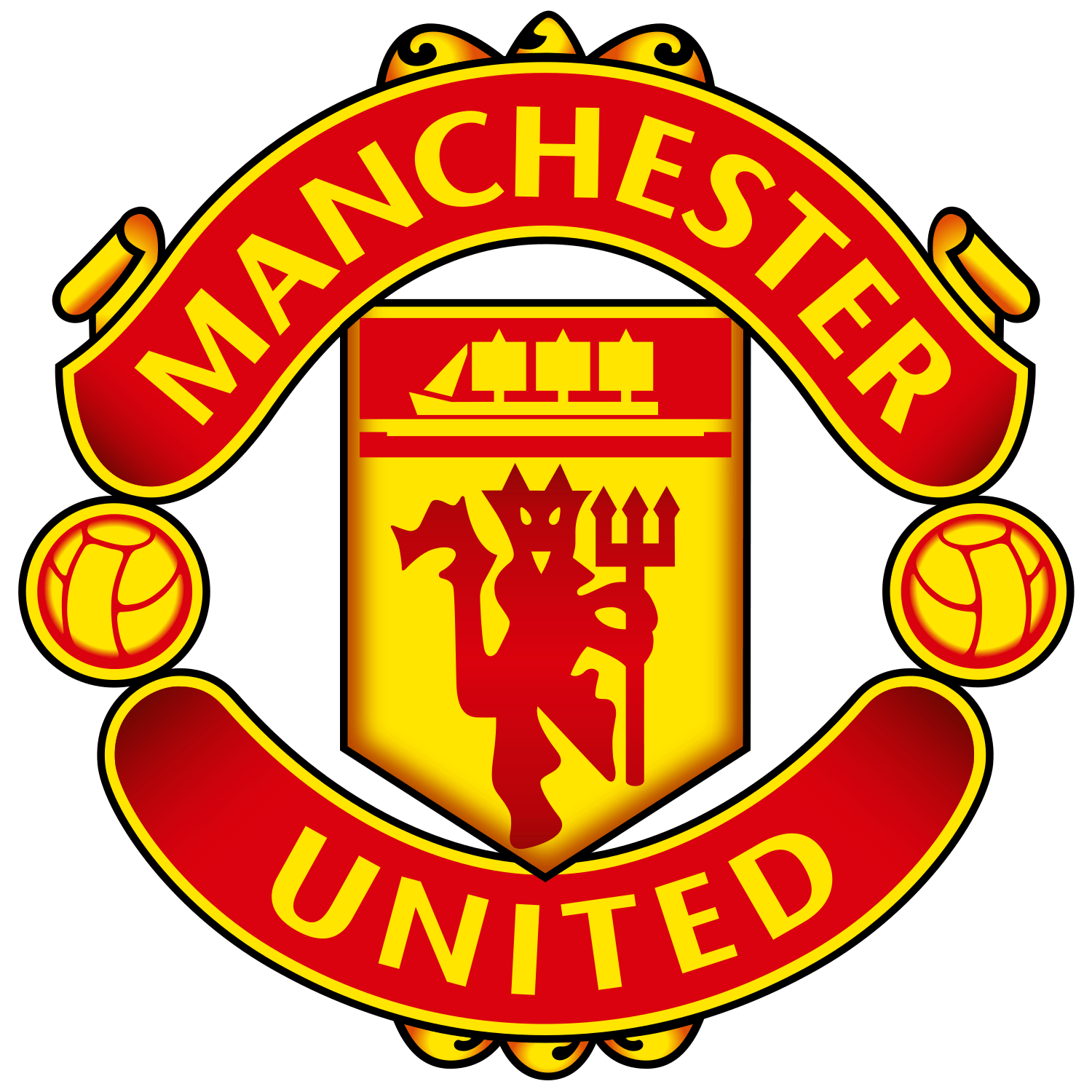 Team logo