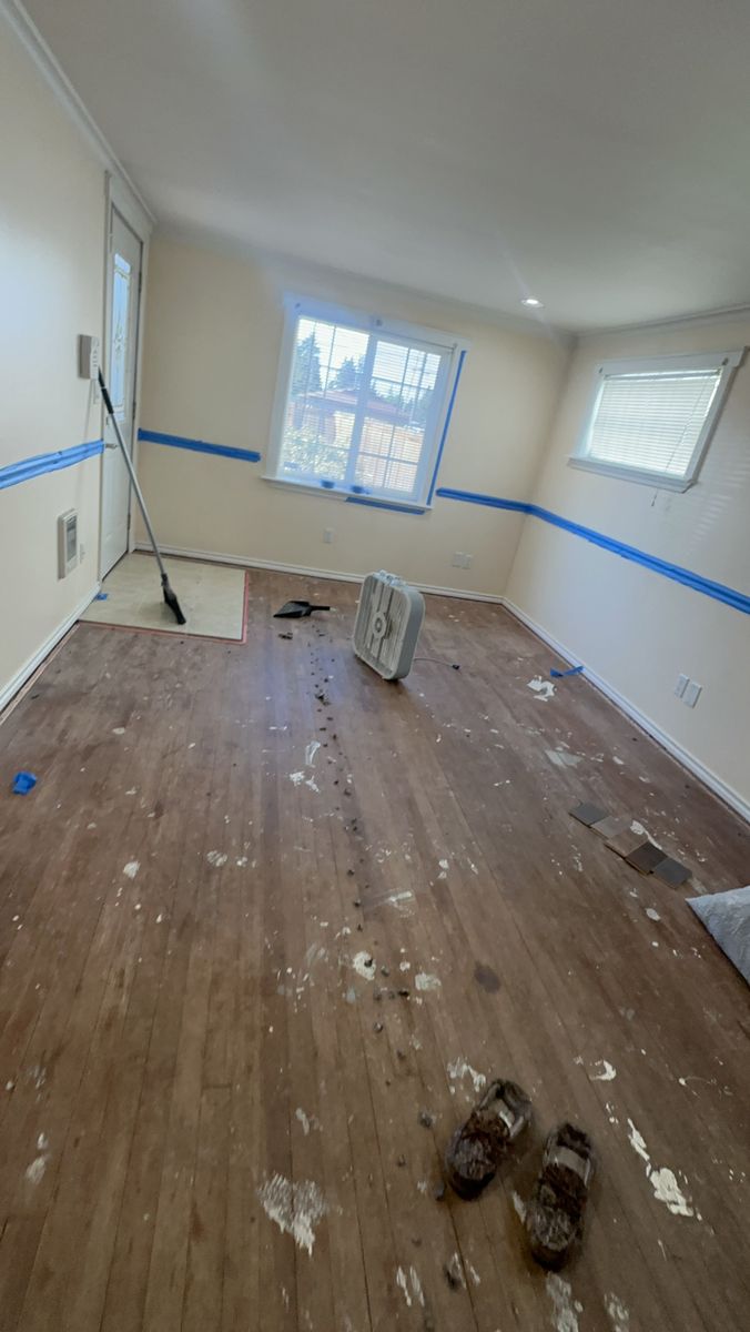 Move-In Cleaning Magic House Cleaning