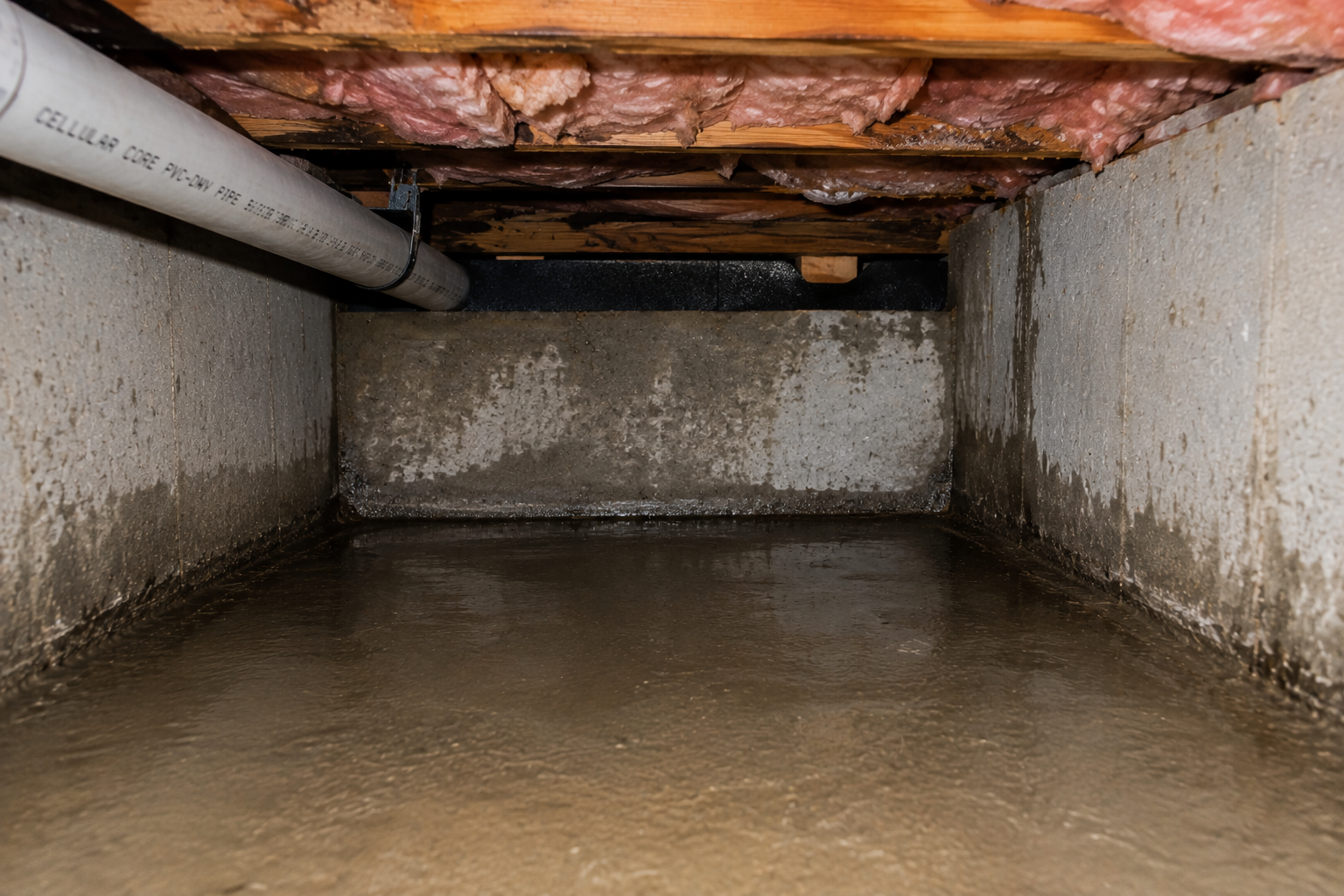 Wet crawl space with standing water and damp foundation walls