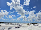Expansive white flat roof membrane installation under a clear South Florida blue sky