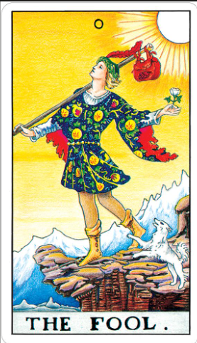 The Fool tarot card (Rider-Waite-Smith) depicting a youthful figure in a patterned tunic stepping toward a cliff edge under a bright sun, carrying a white rose and small pack, with a white dog at his heels
