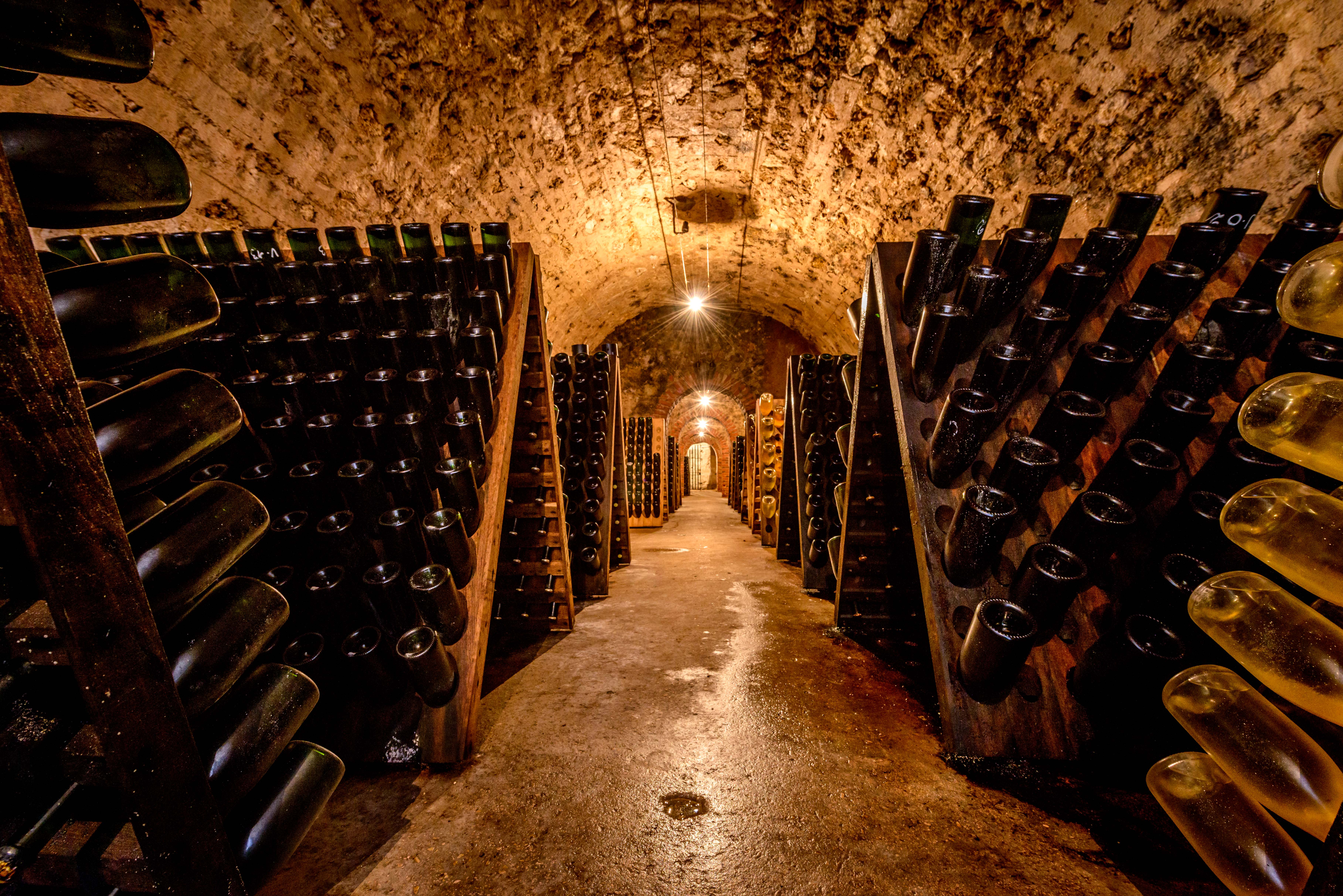 Champagne bottles ageing in a traditional cellar