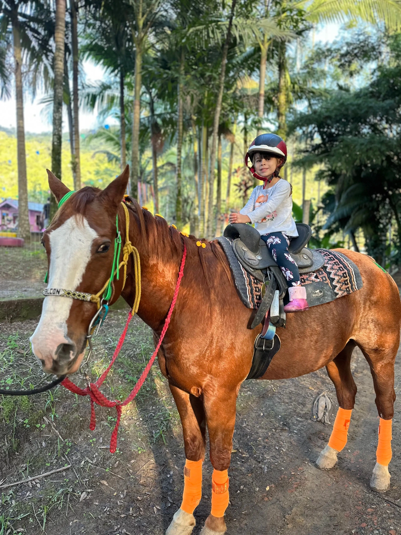 Passeio de pônei