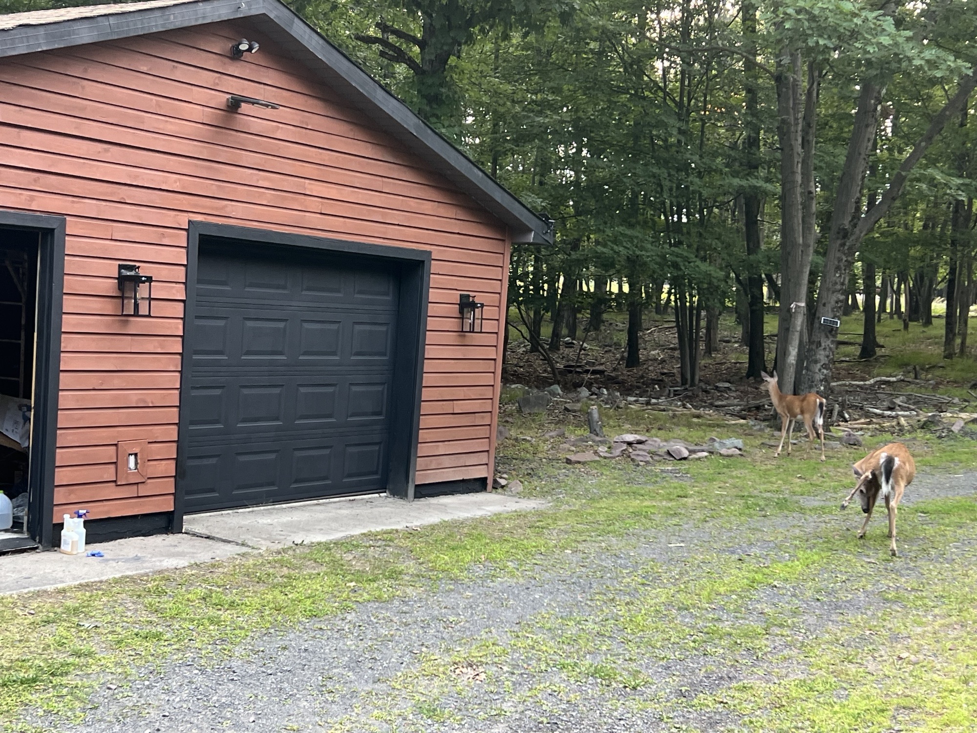 Poconos cabin after renovation — completed garage facade with a visiting deer
