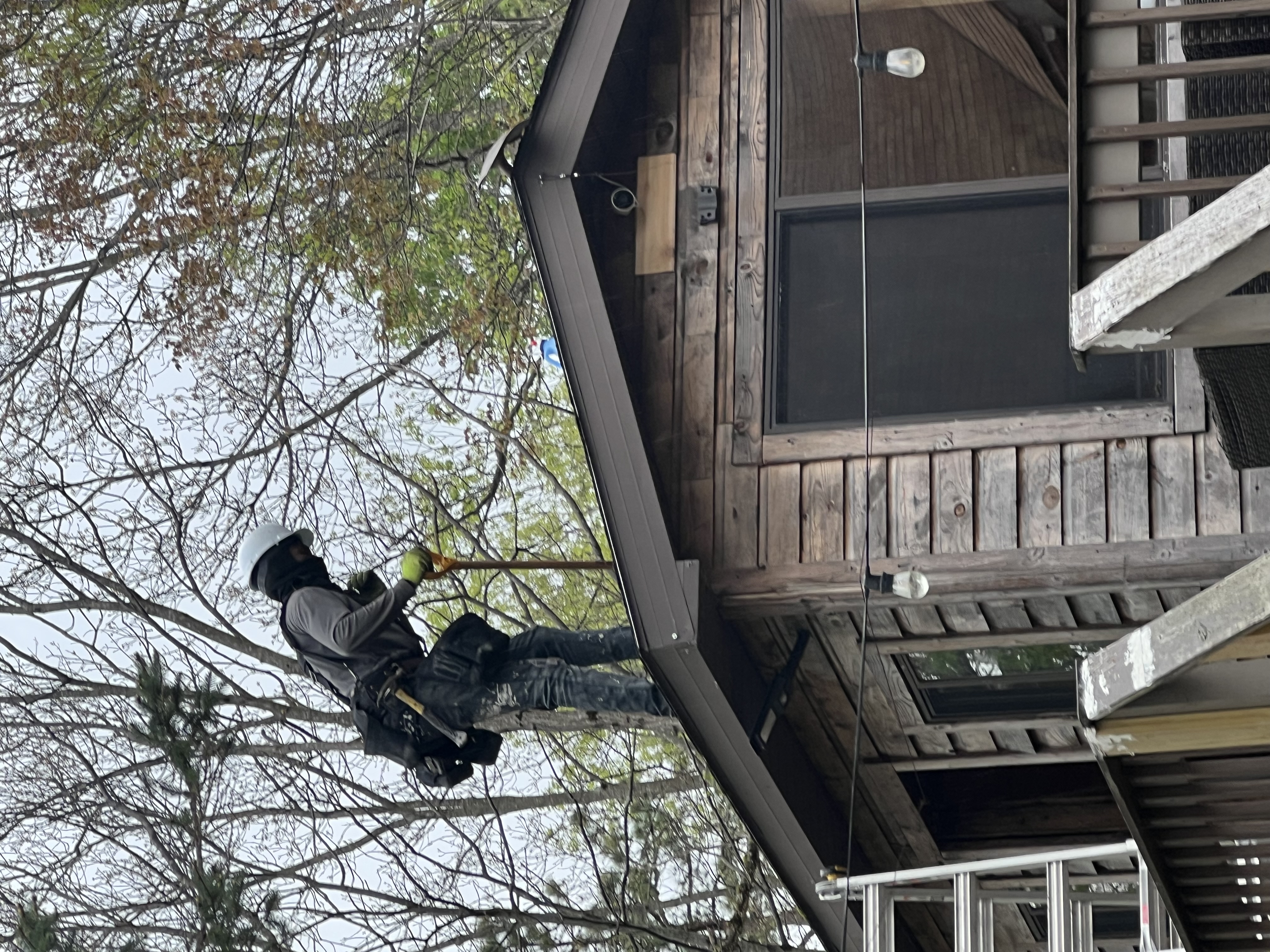 Poconos cabin before renovation — worker clearing tree limbs close to the weathered wood siding