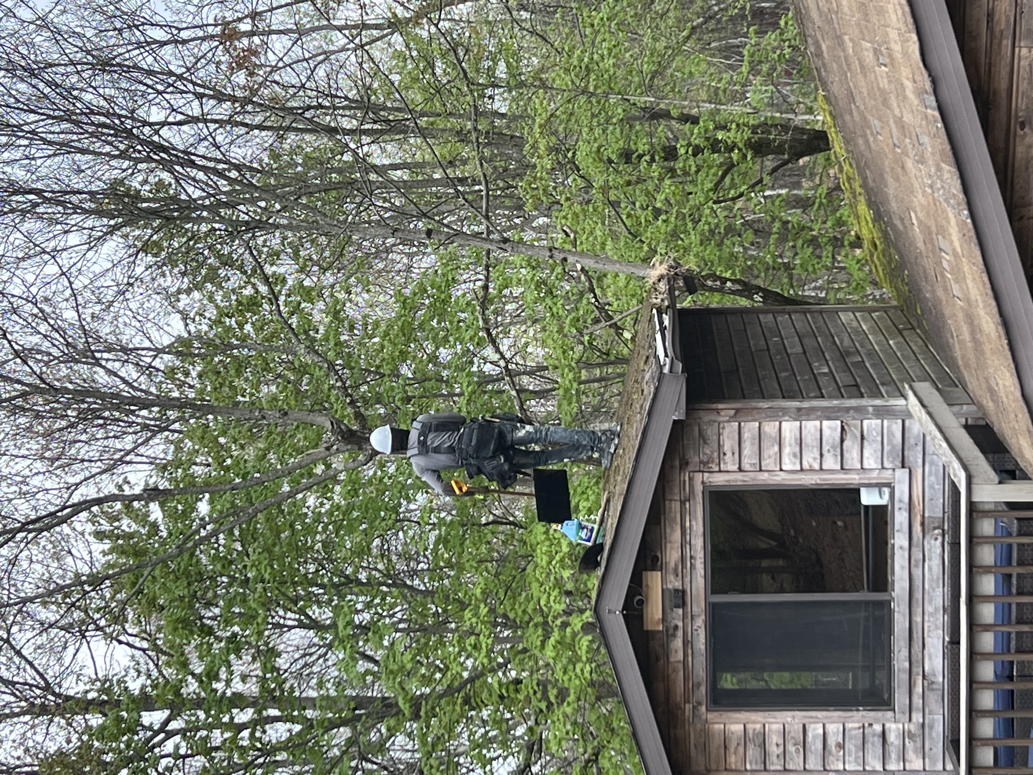 Poconos cabin before renovation — overgrown trees crowding the property and roof